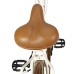 Dviratis AZIMUT City Lux 26“ 2021 cream-brown