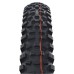 Padanga 29“ Schwalbe Hans Dampf HS 491, Evo Fold. 60-622 Gravity Addix Soft