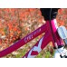 Dviratis PUKY CYKE 16-1 Alu berry-white