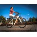 Elektrinis dviratis Ecobike Trafik 28“ white-10.4Ah