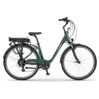 Elektrinis dviratis Ecobike Trafik 28“ dark green-10.4Ah..