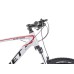 Dviratis Romet Mustang M1 29“ 2023 grey-red-17“