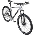 Dviratis Romet Rambler 29" Disc Limited silver-black-18" / M