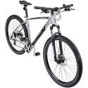 Dviratis Romet Rambler 29" Disc Limited silver-black-18" / M